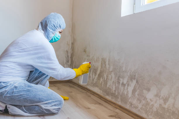 Best Airborne Mold Testing  in Rose Lodge, OR
