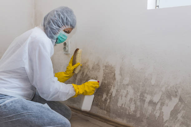 Best HVAC Mold Inspection and Cleaning  in Rose Lodge, OR