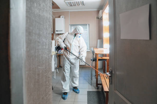 Best Commercial Mold Inspection  in Rose Lodge, OR