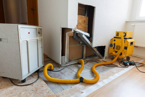 Best Water Damage & Mold Remediation  in Rose Lodge, OR