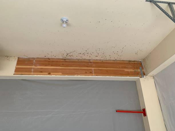 Best Residential Mold Inspection & Testing  in Rose Lodge, OR