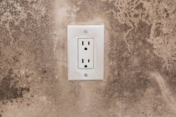 Best Mold Odor Removal Services  in Rose Lodge, OR