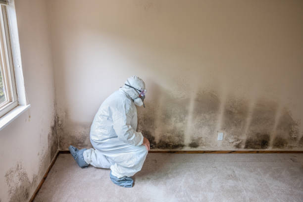 Best Crawl Space Mold Remediation  in Rose Lodge, OR