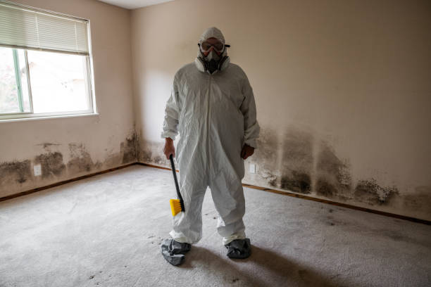 Best Mold Prevention Services  in Rose Lodge, OR